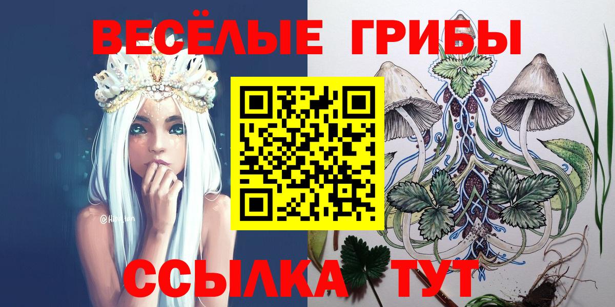 Псилоцибиновые грибы прущие грибы  Вход с VPN  купить  сайты  Лесной 